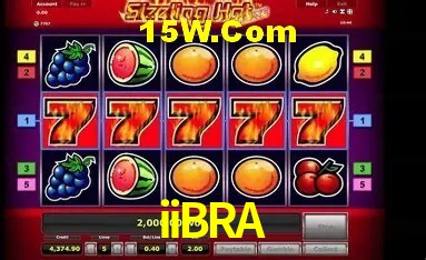Sistemas de Segurança iiBRA